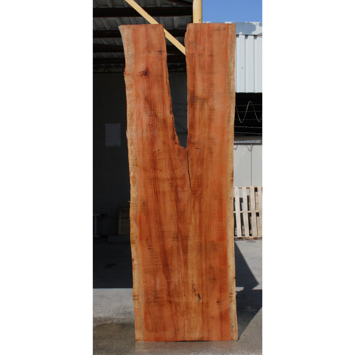 110"L Solid Wood Slab