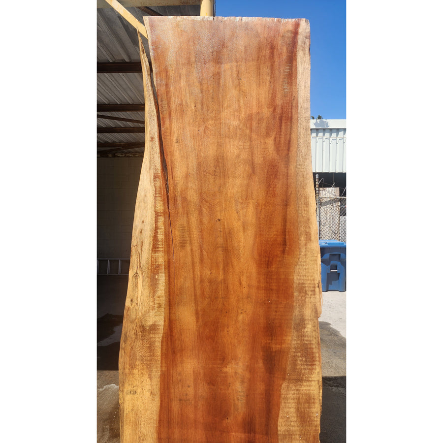 114"L Solid Wood Slab