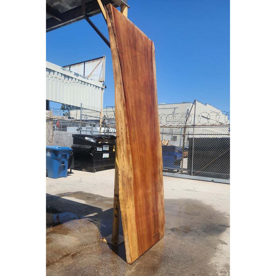 114"L Solid Wood Slab