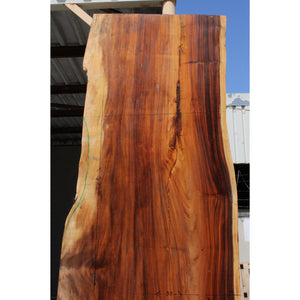 114"L Solid Wood Slab