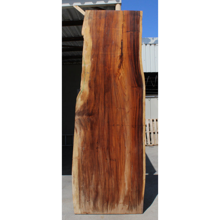 114"L Solid Wood Slab
