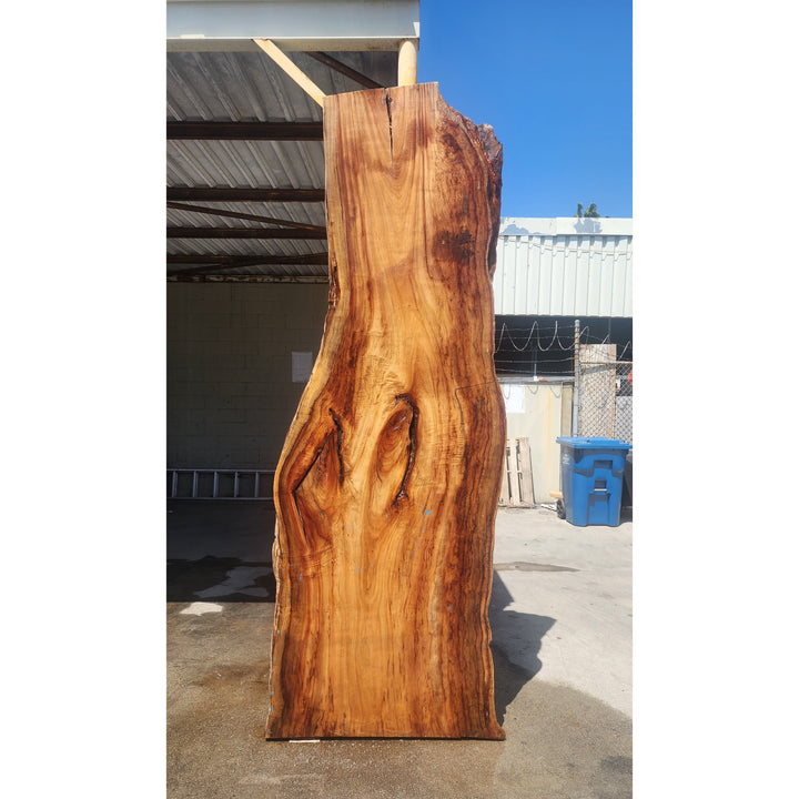 115"L Solid Wood Slab