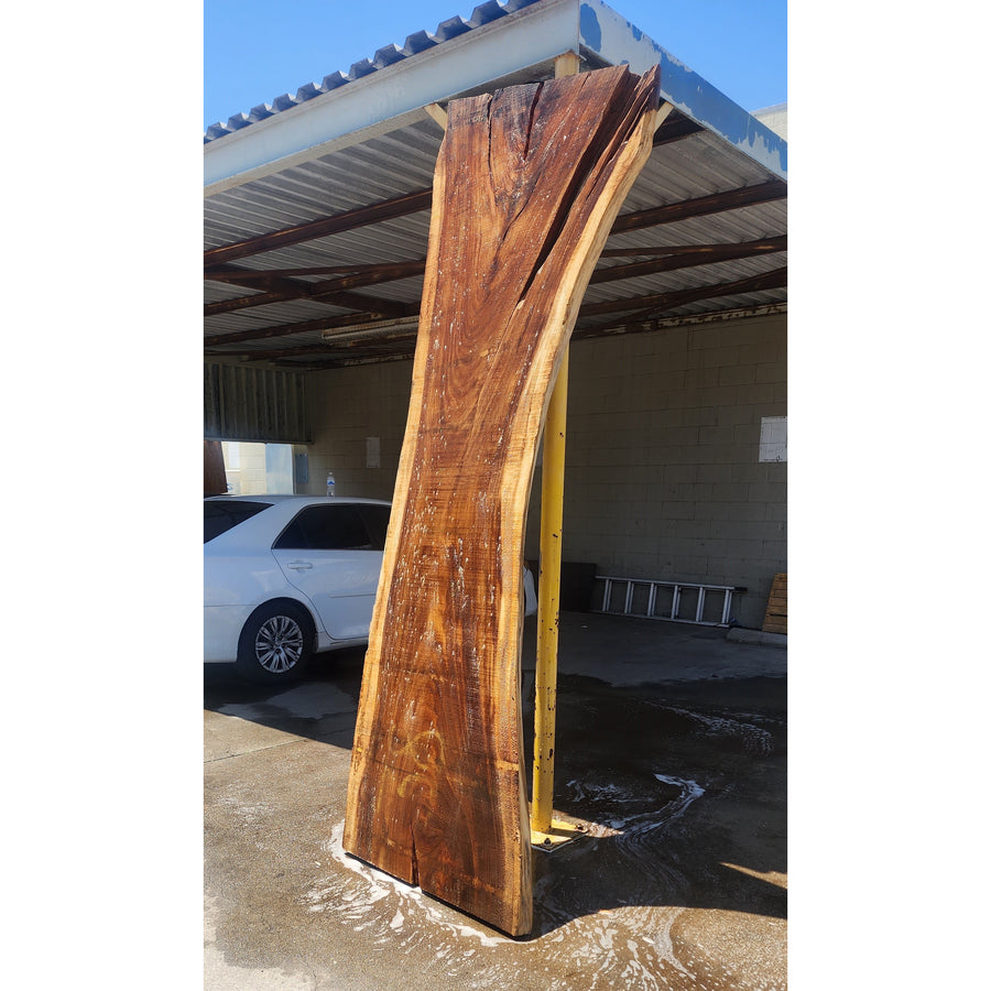 117"L Solid Wood Slab