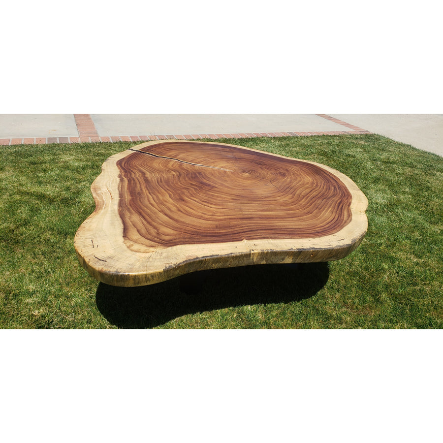 Live Edge, Solid Round Slab Table