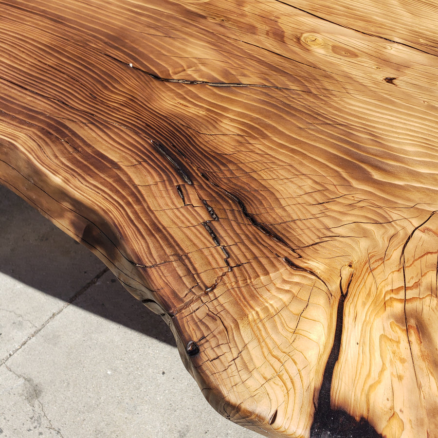 95"L x 30-35-36"W Live Edge Camphor Wood Slab table
